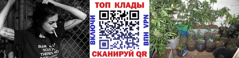 Наркошоп купить МАРИХУАНА  Alpha PVP  МЕФ  Отрадное