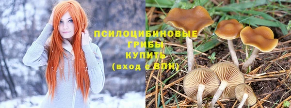 МДПВ Богданович