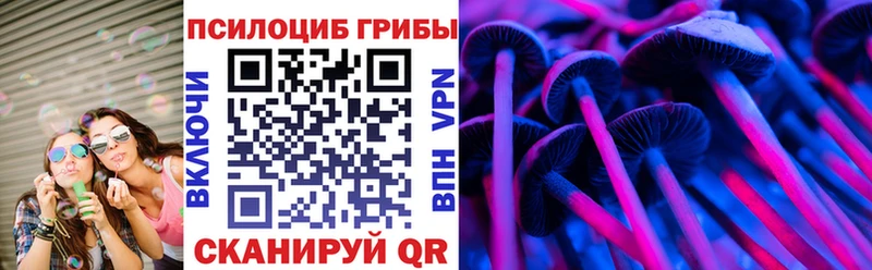 Псилоцибиновые грибы GOLDEN TEACHER  Купить где  Отрадное 